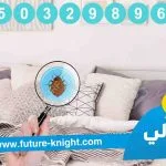 شركة مكافحة حشرات بالخبر -0503298969 الغيد المثالي الاولي في رش المبيدات