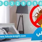 شركة مكافحة حشرات بالدمام الشركة المتخصصة في القضاء علي الحشرات