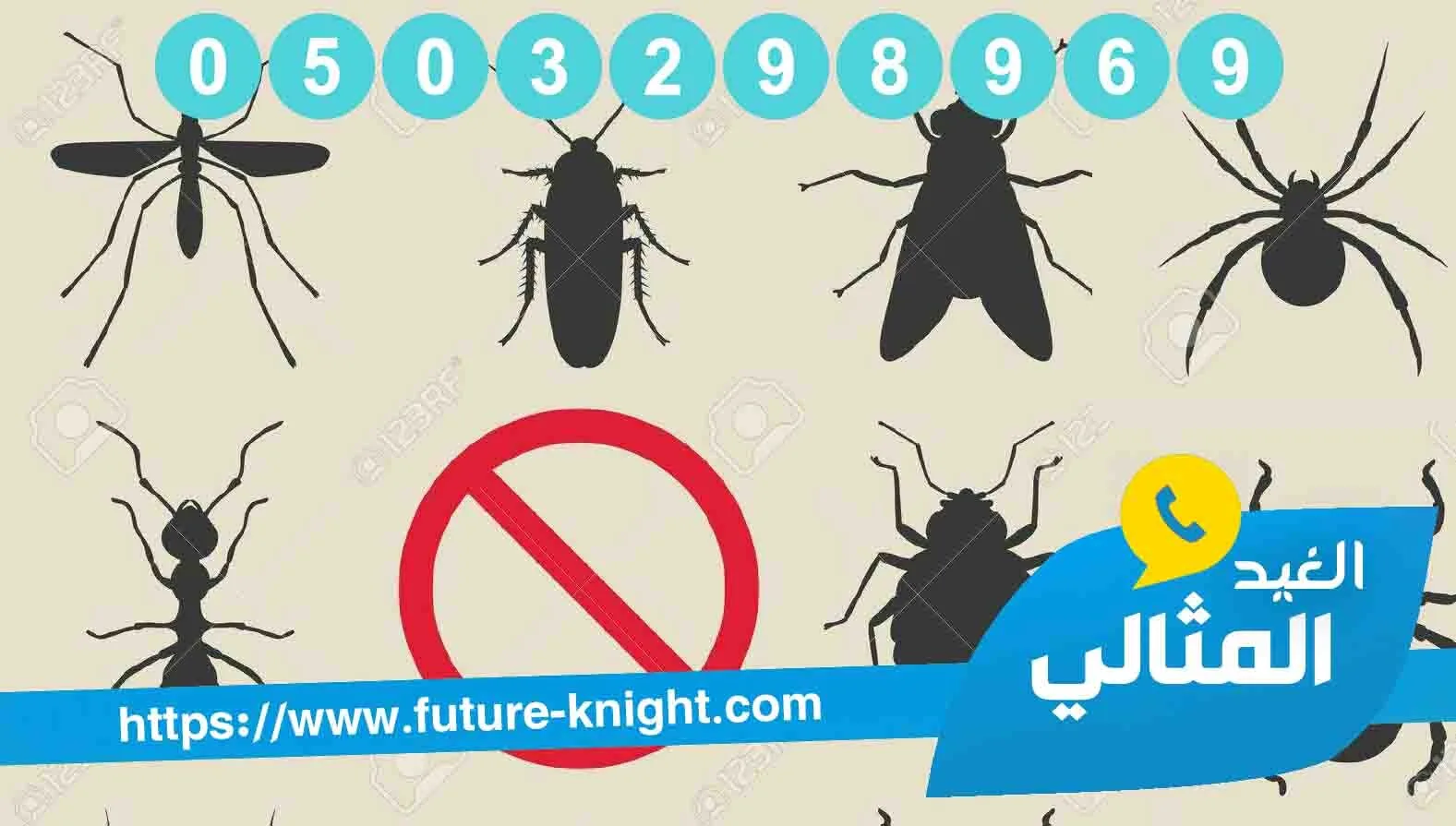 شركة مكافحة حشرات بالقطيف