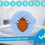 شركة مكافحة حشرات بالجبيل 0503298969 (شركة الغيد المثالي ) في القضاء علي الحشرات
