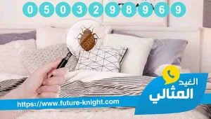 شركة مكافحة حشرات بالخبر -0503298969 الغيد المثالي الاولي في رش المبيدات 2 شركة مكافحة حشرات بالدمام