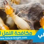 شركة مكافحة النمل الأبيض بالخبر 0503298969 الغيد المثالي