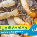 شركة مكافحة النمل الابيض بالدمام 0503298969 الغيد المثالي