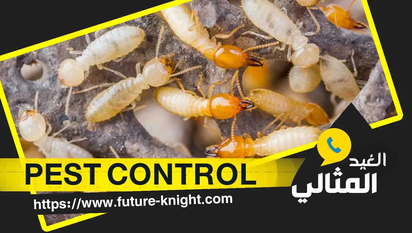 شركة مكافحة النمل الأبيض بالخبر 0503298969 الغيد المثالي 2 شركة مكافحة النمل الأبيض بالخبر