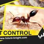 شركة رش حشرات بالدمام 0503298969 الغيد المثالي