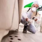 شركة مكافحة حشرات بالخبر