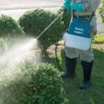 شركة رش مبيدات حشرية بالخبر 0503298969