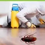 شركة رش مبيدات حشرية بالظهران 0503298969