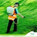 شركة رش مبيدات حشرية بالدمام 0503298969
